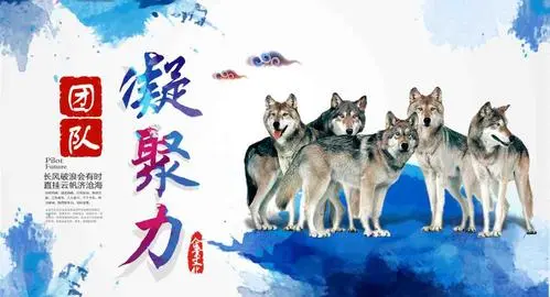 专业网站建设